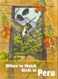 Where to Watch Birds in Peru